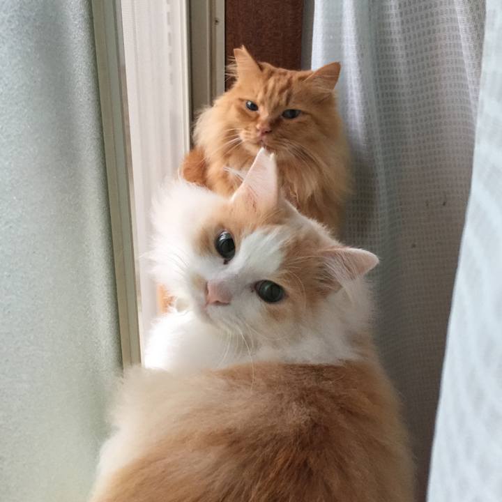 6a71e0f2 ba96 408e 8db7 3a9d26dd4812