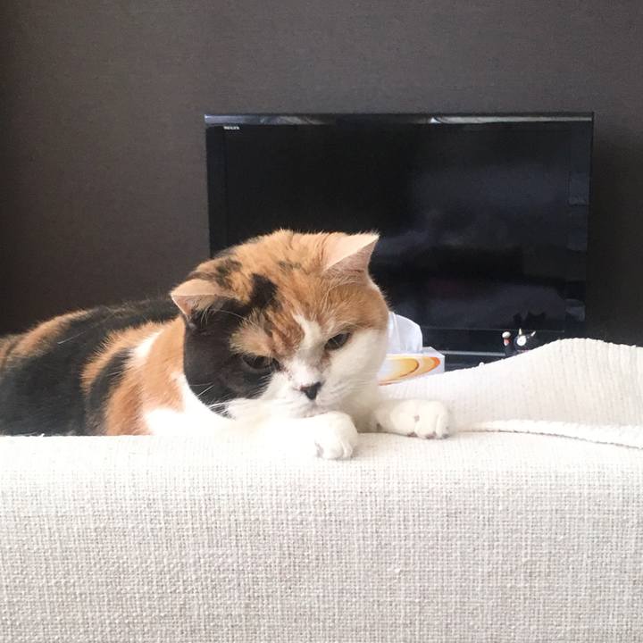 6a71e6fb 8ce4 41de 862a d03a444171f6