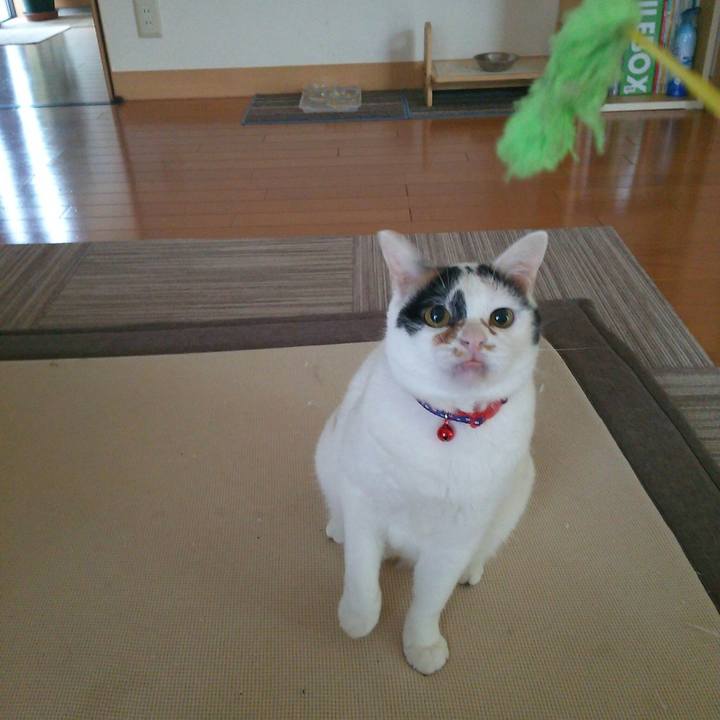 6a71ffa2 d605 44a0 935b 033e663f0c2e