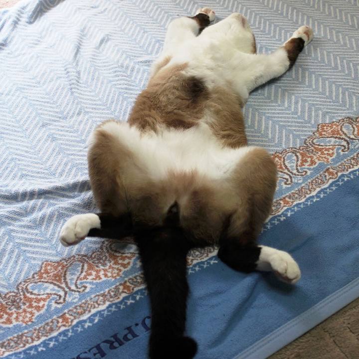 6a72f8f9 881c 4f84 b627 cac2695c6c04