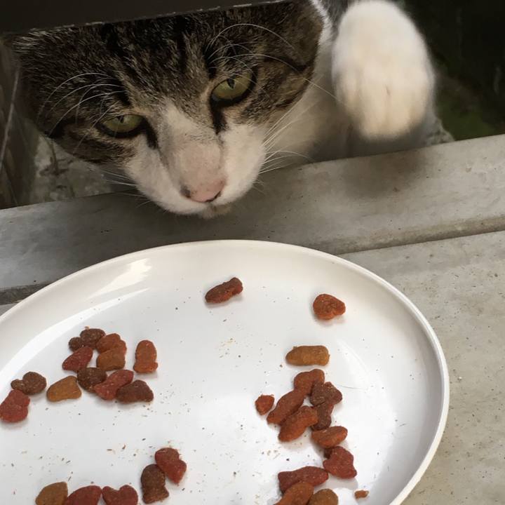 6a7359ae 4b6f 4171 a107 f0aaf790f313