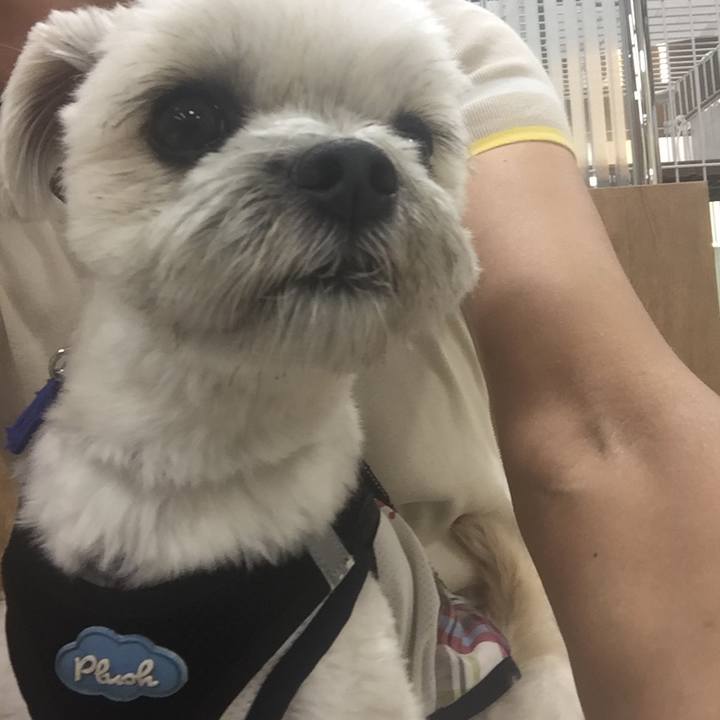 6a7397b0 03ba 4466 9cfa d14e29e196f7