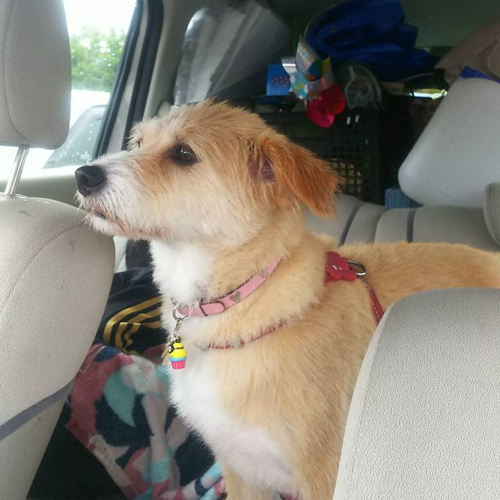 6a73d60b b1fd 4305 9f17 0e975a4d7845