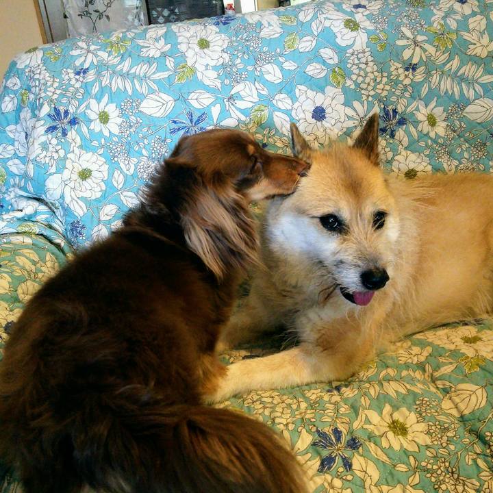 6a741308 be9c 43d8 9065 8fc48eca2837