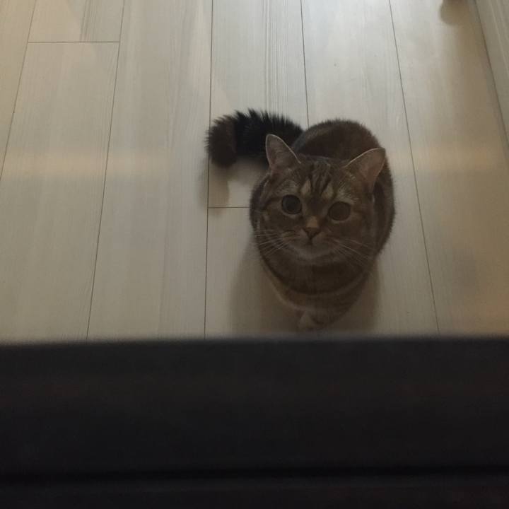 6a75651c 3948 47a8 846d 4ad5fdb7d415