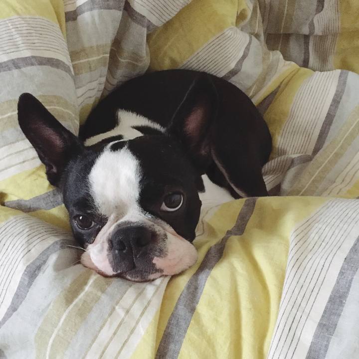 6a759d0f 9529 4fcb b28c af06f50c57fb