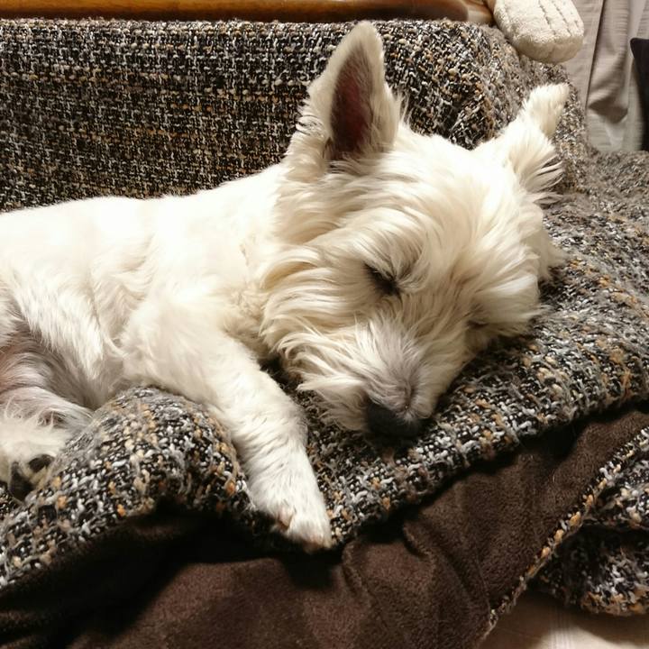 6a75a059 bd53 42ca 973a c6a4740911ca