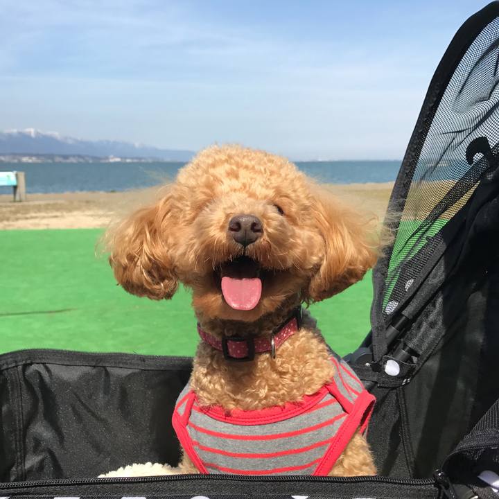 6a7651c0 6bfc 4913 9bf8 d316c8b552f7