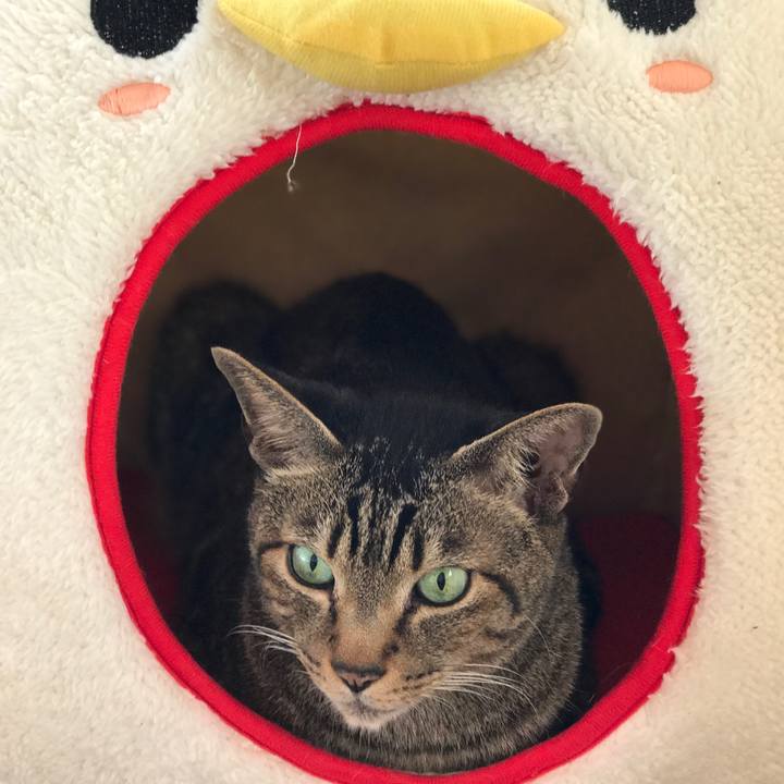 6a76c0df a9e1 45ba a32c fd5b3ee05074