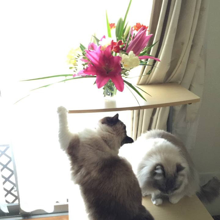 6a7705de 37d1 492a a8df 04a8d5f29704