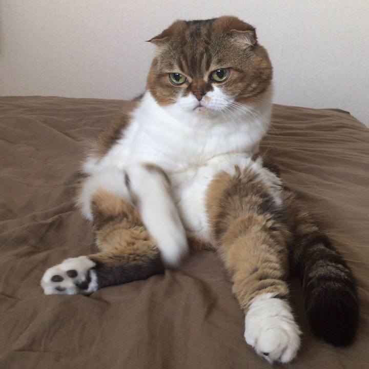 6a799562 3742 4082 80bc a9351a5b3e5f