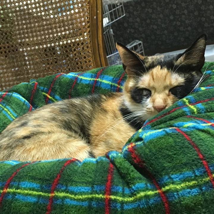 6a79c18f 6649 4965 9b2d 4b4187aa436c