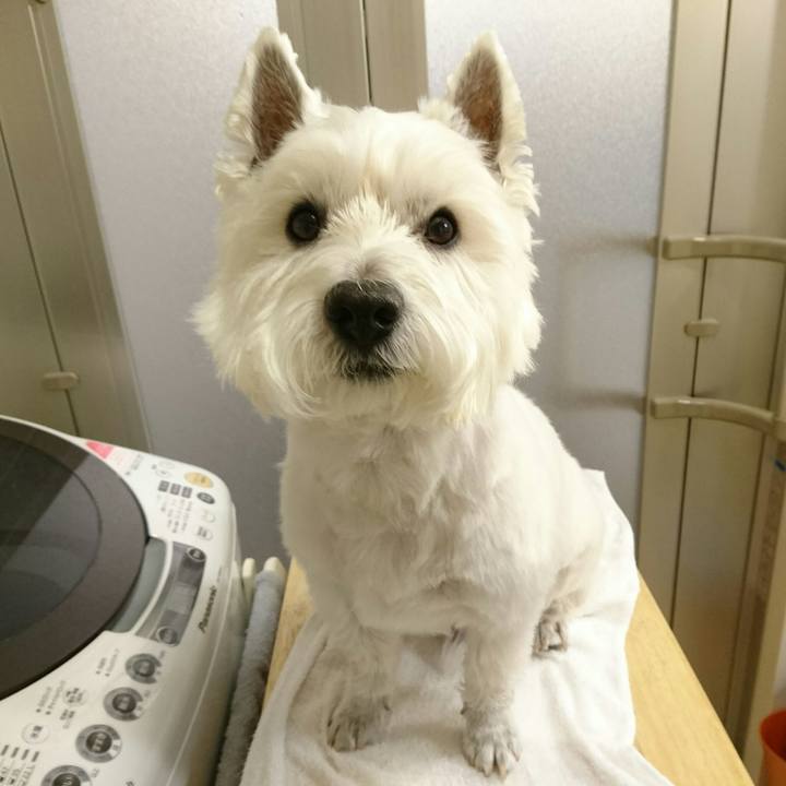 6a7a28f5 a7f0 42b6 bc6f c3f02af08354