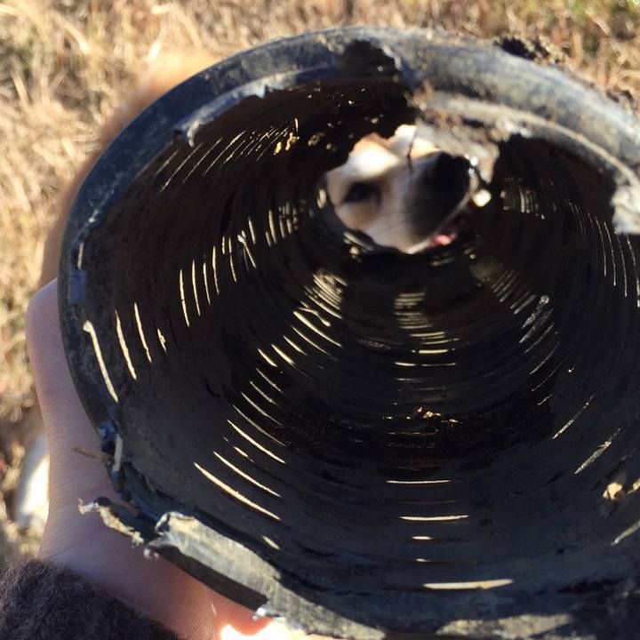 6a7a389c 6dcf 412e 9d7c 02c4e92f2d7c