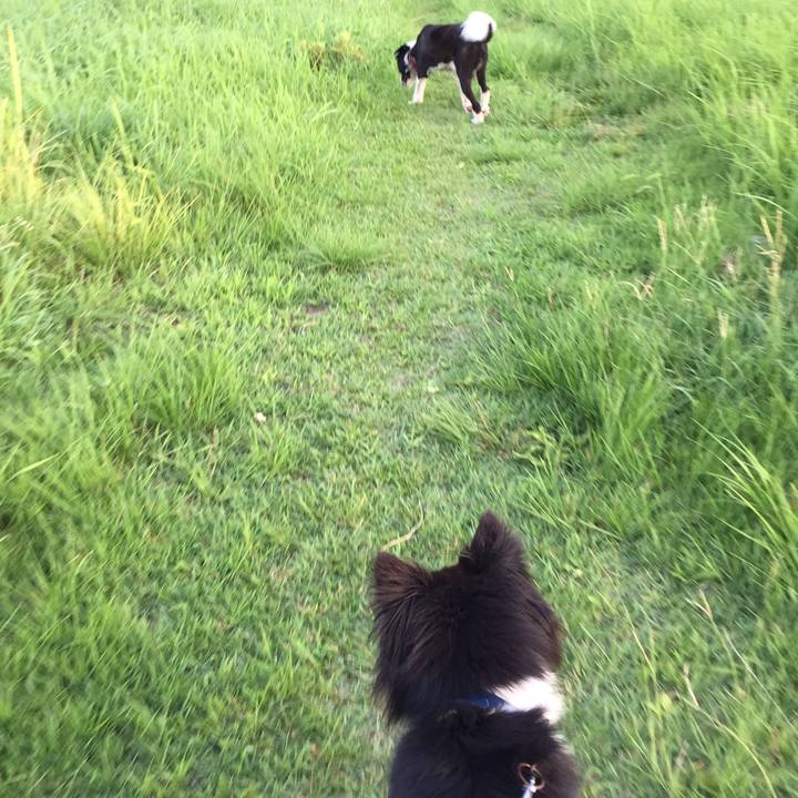 6a7b2ec0 9bb7 4c9d a8c6 4f8522d76884