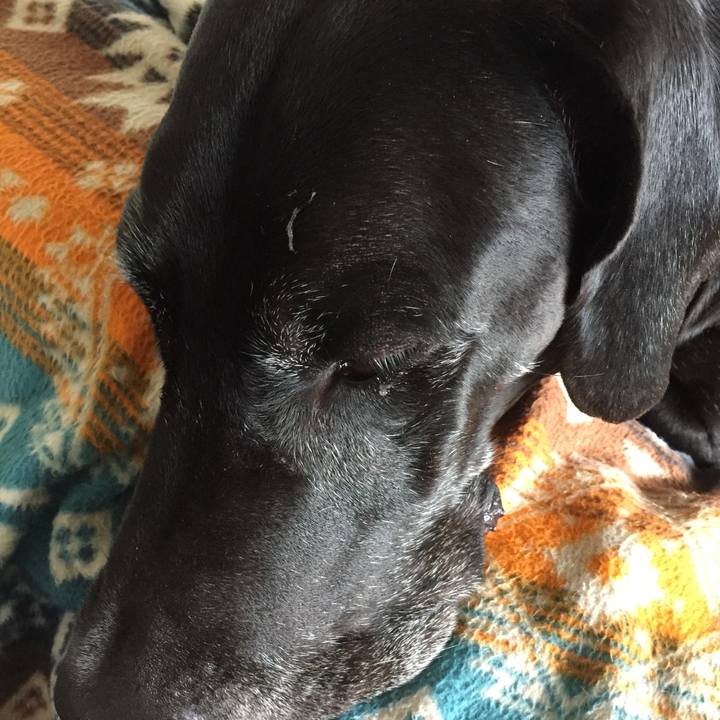 6a7b9cb8 3ef4 4cc8 8d4b 89e821252a07