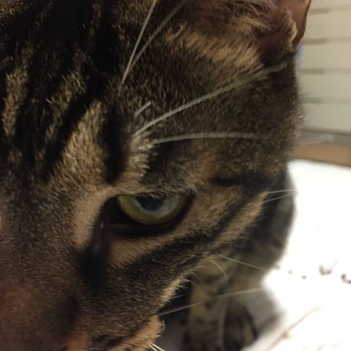 6a7bf818 0292 4b04 a3ed 480634874864