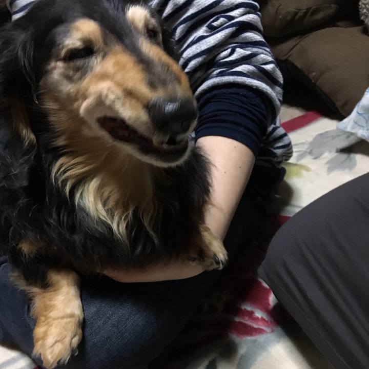 6a7ce6b1 0e96 4bd3 a62a a69230a5a9c9