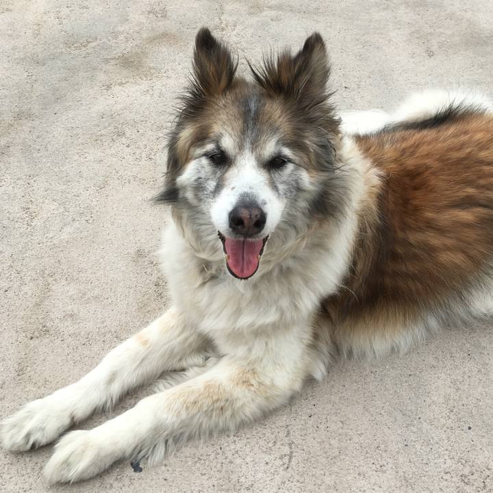 6a7ced47 b5dc 4d37 871d 6b6b575ef3c7