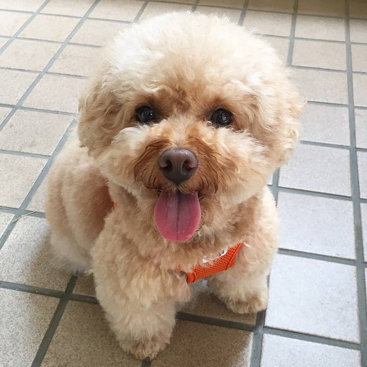 6a7d3601 009f 432b b0e9 79adae725303