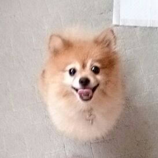 6a7d384e ad42 48c6 a14c 1aa424d438e2