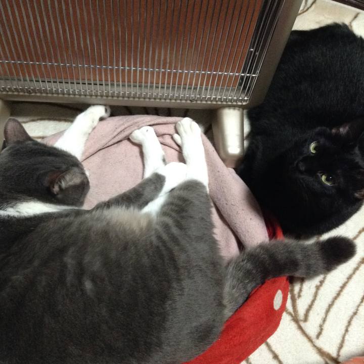 6a7e56d6 b741 4e9f ba00 71b667472de9