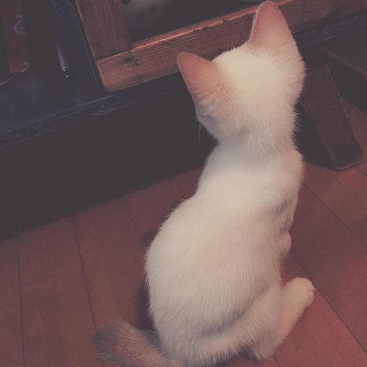 6a7e5997 73dd 4291 b2e2 fdcf2b4adb30