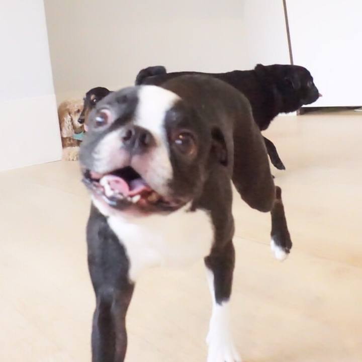 6a7edd94 eb5a 4e1f 8425 2f56e19e7dab