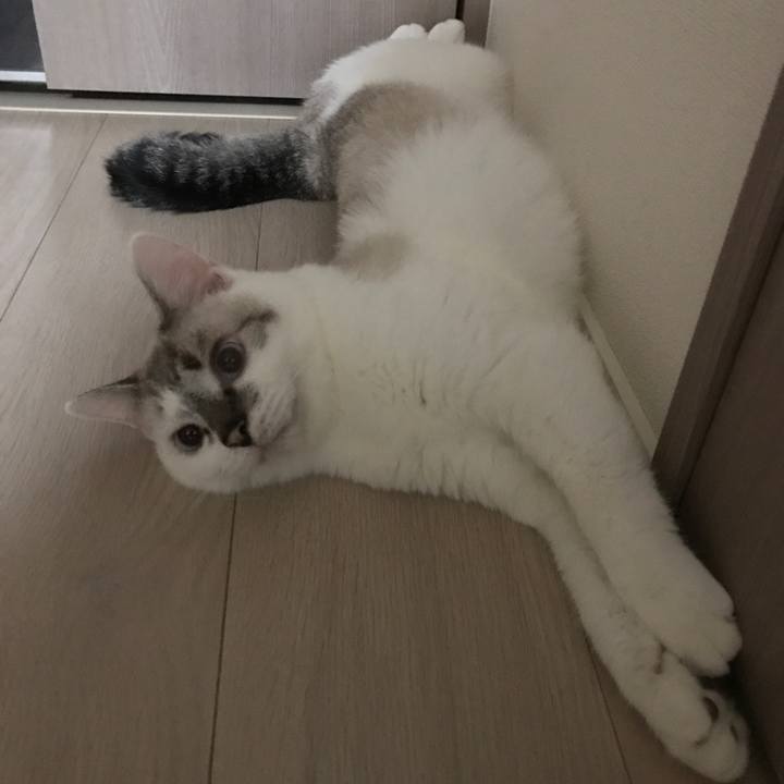 6a7ef1db fd3a 4858 b521 1473bae7dab6