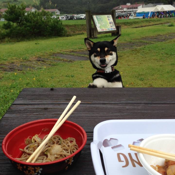 6a7f39cb 2c1f 4a5d 9d6f 636d53148597