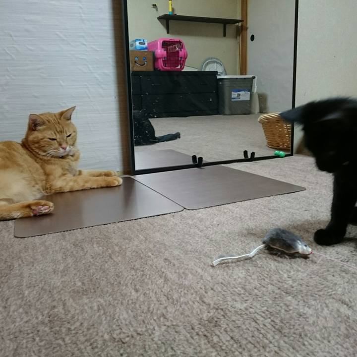 6a7fb1c1 f922 4e5d a05d ad4b77399e51