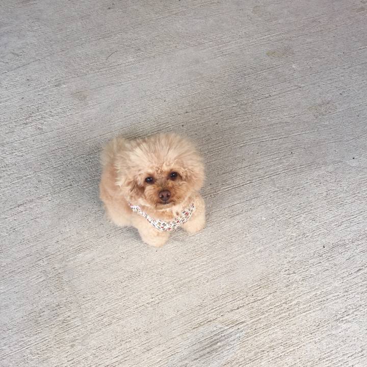 6a7fe737 0d49 4079 8aa8 b8902e713778