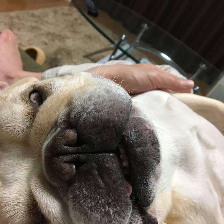 6a8061df b790 43c2 ac99 bb06f042518a