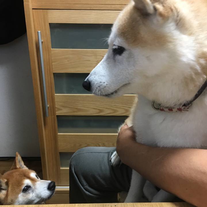 6a8148c2 826a 4b03 8b47 86dd1090997b