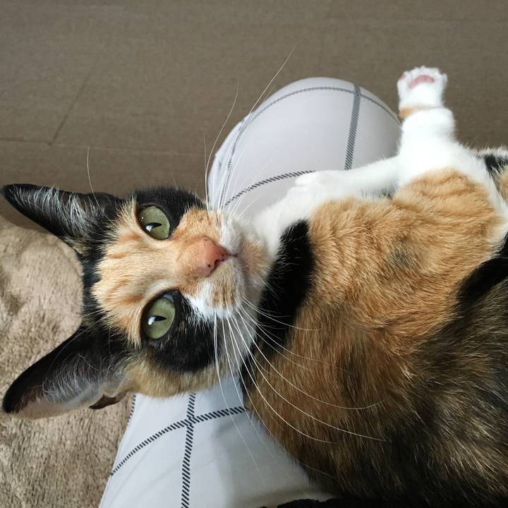 6a826dd7 9798 4af3 904b 2f975fa75b1b