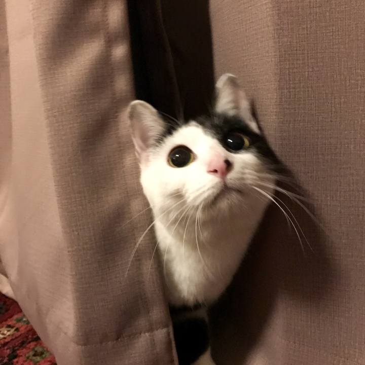 6a82ef4a bd82 4628 9c65 fc8d7d133dea