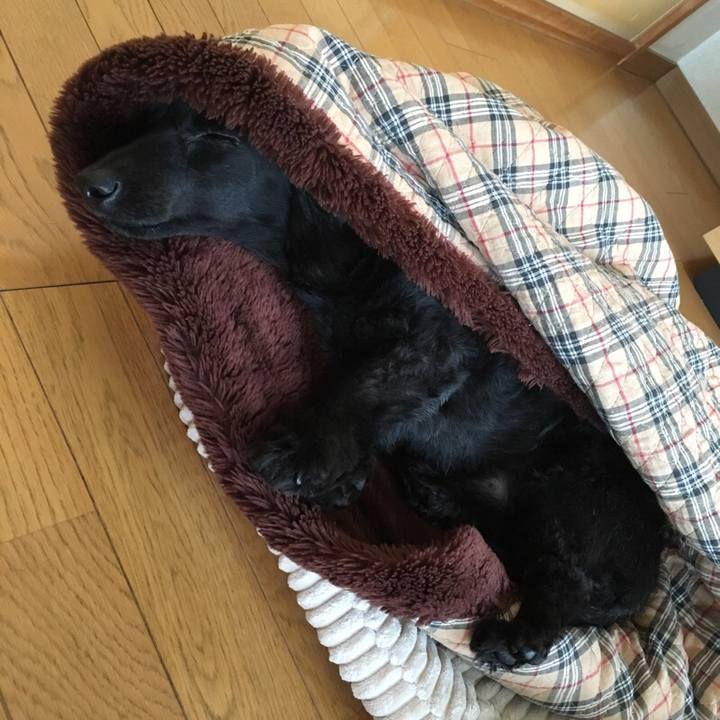 6a832f22 bf2c 47cb b8a0 4c0f772e3b43