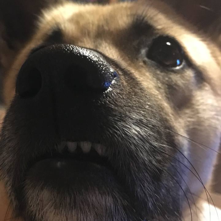 6a8363b4 cc65 4e85 ac6f d0384e7c6c96