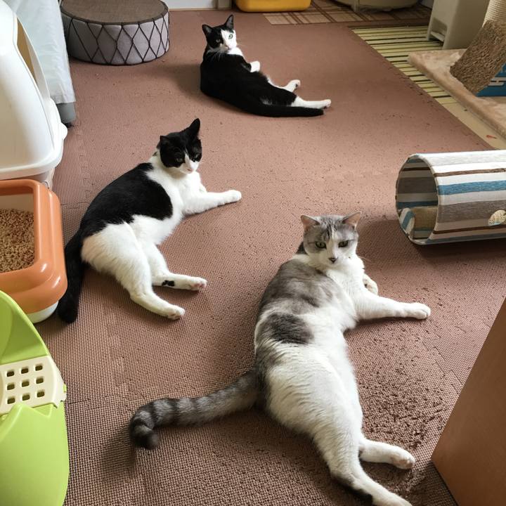 6a836dad a87a 4b6a 846c 8b44f4424a4d