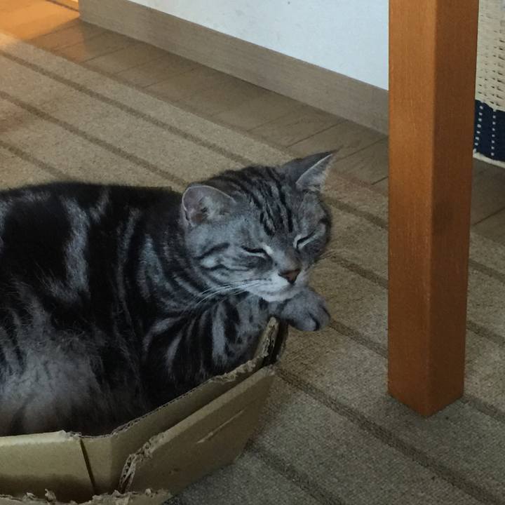 6a841848 7592 4342 992b df380b3e8da3