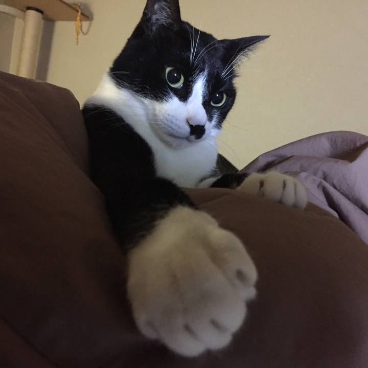 6a847afe 5282 4f92 92e0 ee7d663d7c08