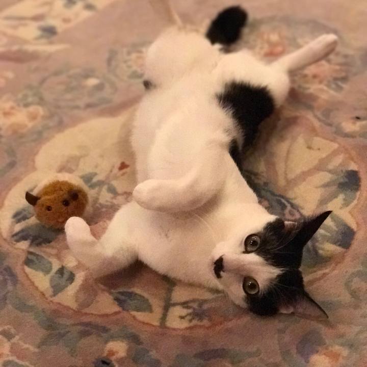 6a851153 20b7 4f98 91a7 c1cc0df17b23