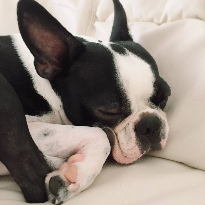 6a87ab9a 0c91 47c1 b6ef f5bb9717b246