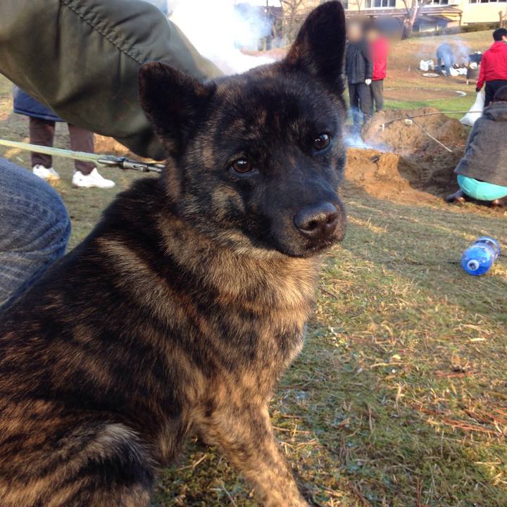 6a884616 7c25 4a53 9663 ab7a531a6ecc