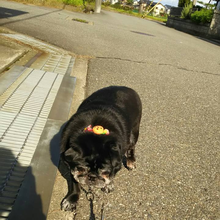 6a884c5e cf80 4dd3 af47 5e982e45329d