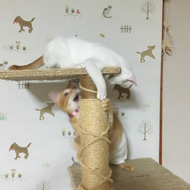 6a88a5ac ea95 4b21 82fa 87e5d045a34e