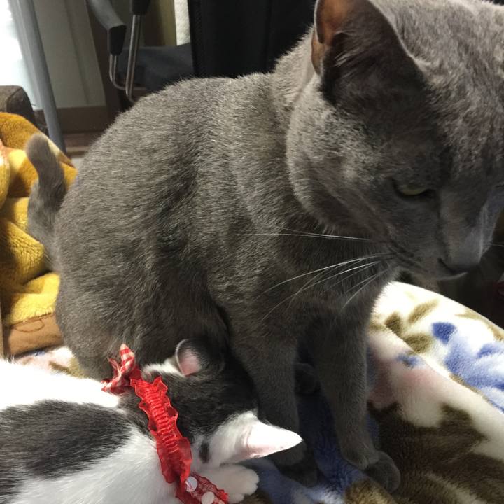 6a8908de c43c 4675 9695 b092b8ca4cf5