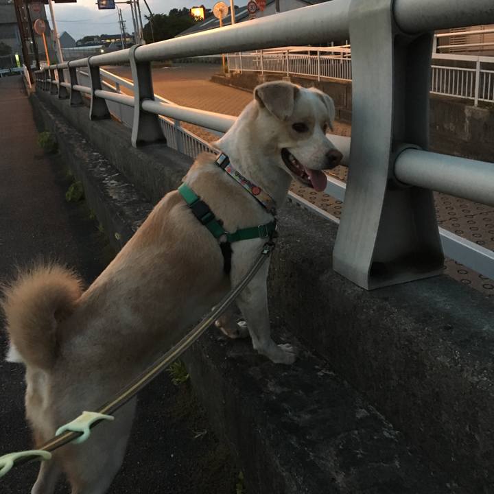 6a8929a4 5f14 49bf be9b 9fa84fb16c57