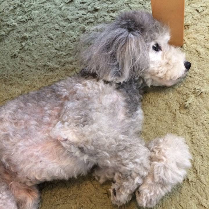 6a896130 72d2 4040 909d 22c84aa9242f