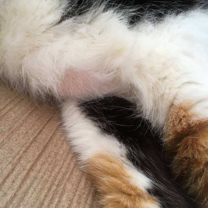 6a896579 0478 4189 8da3 00bef4f79d47